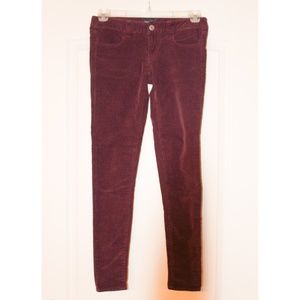 American Eagle Maroon Corduroy Pants